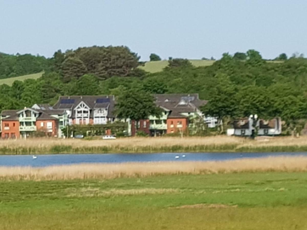Ferienwohnung 4 Im Haus Am See Mit Wintergarten Und Terrasse Seedorf  Esterno foto